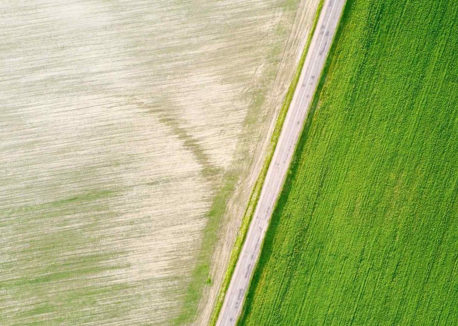 CO₂-Preissteigerung 2025: Herausforderung oder Chance?