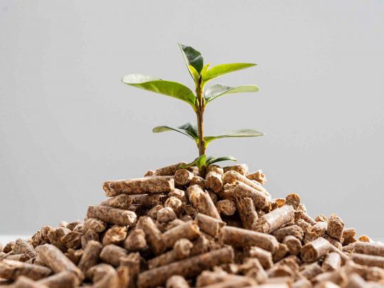 Die nächsten Webinare 2026 sind in Planung…