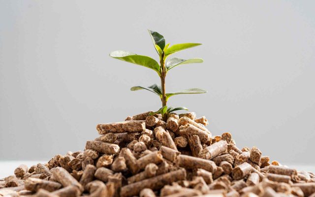 Die nächsten Webinare 2026 sind in Planung…