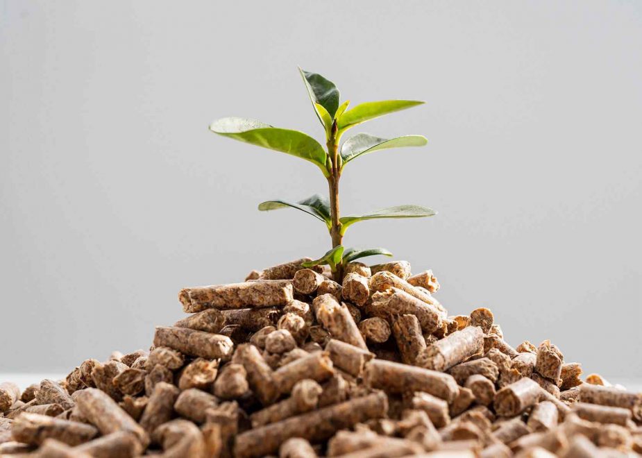 Die nächsten Webinare 2026 sind in Planung…